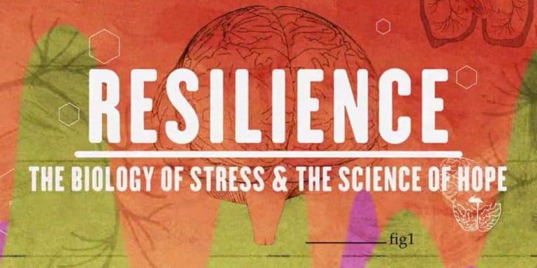 Read more about the article Resilience and Paper Tigers FILMS – ACES