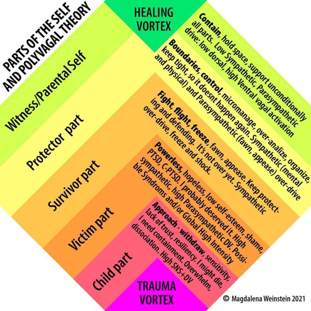 polyvagal-chart-by-magdelena-weinstein-tre-scotland